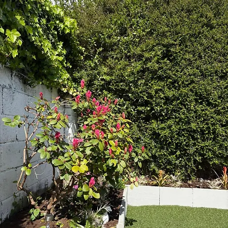 Superb Triple Near Airport - 4 * Dublin