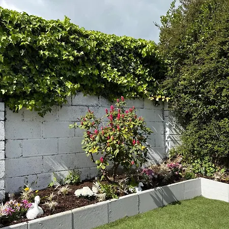 Superb Triple Near Airport - 4 Dublin